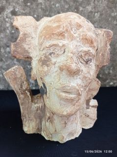 L'âge de faire. - Expressions